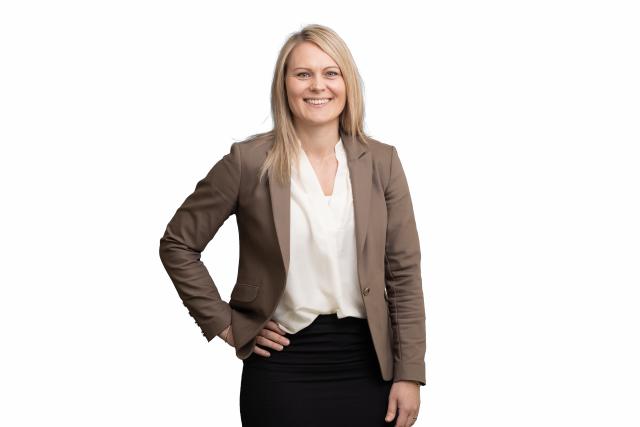 Det amerikanske valg